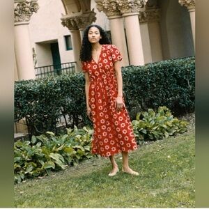 ISO Christy Dawn crimson daisy